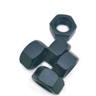 Noir d'écrou de sortilège de profil bas de l'acier inoxydable Ss304 revêtu de téflon pour l'industrie