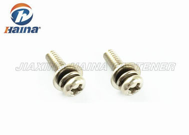 Acier inoxydable enfoncé par croix 304 316 Pan Head Screws et joints