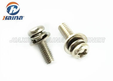 Acier inoxydable enfoncé par croix 304 316 Pan Head Screws et joints