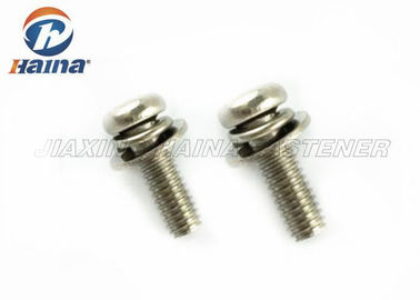 Acier inoxydable enfoncé par croix 304 316 Pan Head Screws et joints