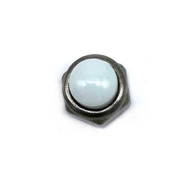 L'hexagone SS304/316 d'écrous d'acier inoxydable d'OEM a couvert d'un dôme les écrous borgnes en nylon blancs